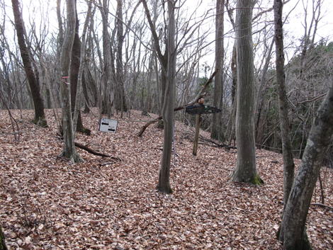 20161216hike (358)